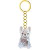Transparent Pet Memorial Keychain Pet Hair Bottle For Preserving Dog Hair And Ashes In A Leakproof Keepsake Capsule