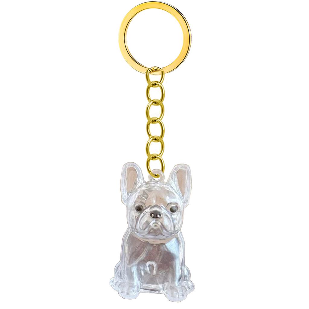 Transparent Pet Memorial Keychain Pet Hair Bottle For Preserving Dog Hair And Ashes In A Leakproof Keepsake Capsule