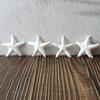 Starfish Silicone Candle Molds for Candle Soap Making Sea Creature Themed Gypsum Silicone Molds for Home Decoration