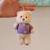 Classic Teddy Bear Plush Toy With Keychain And Soft Pp Cotton Filling For Collectors And Kids