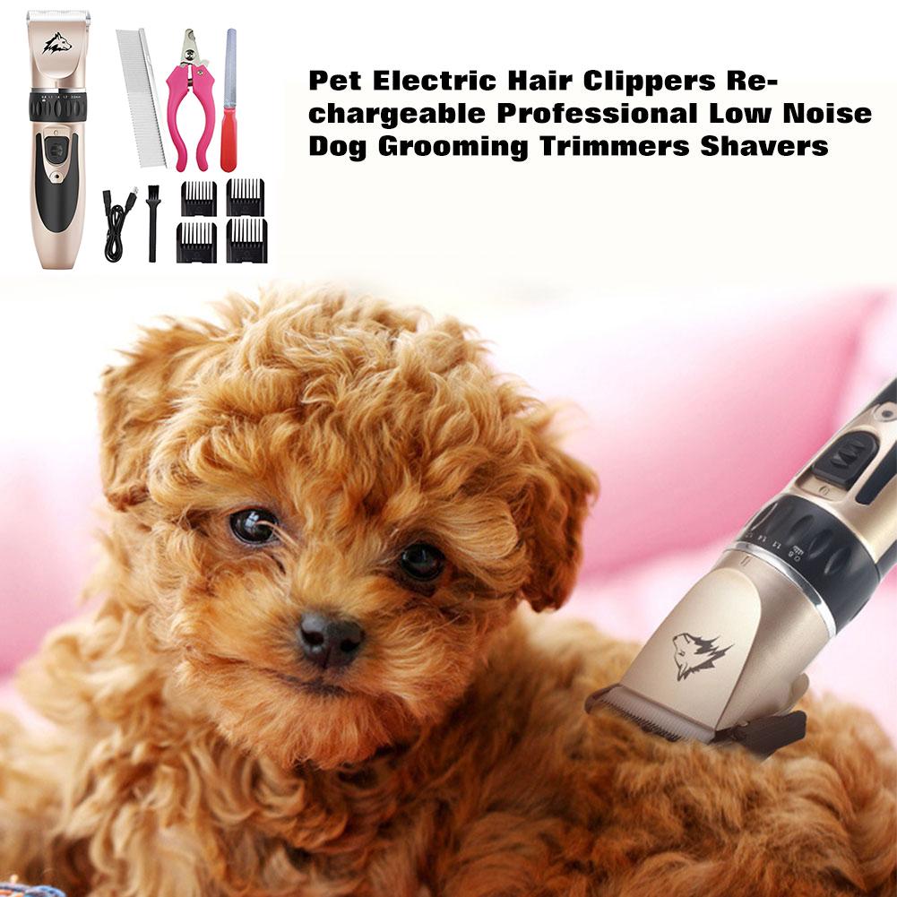 professional poodle clippers