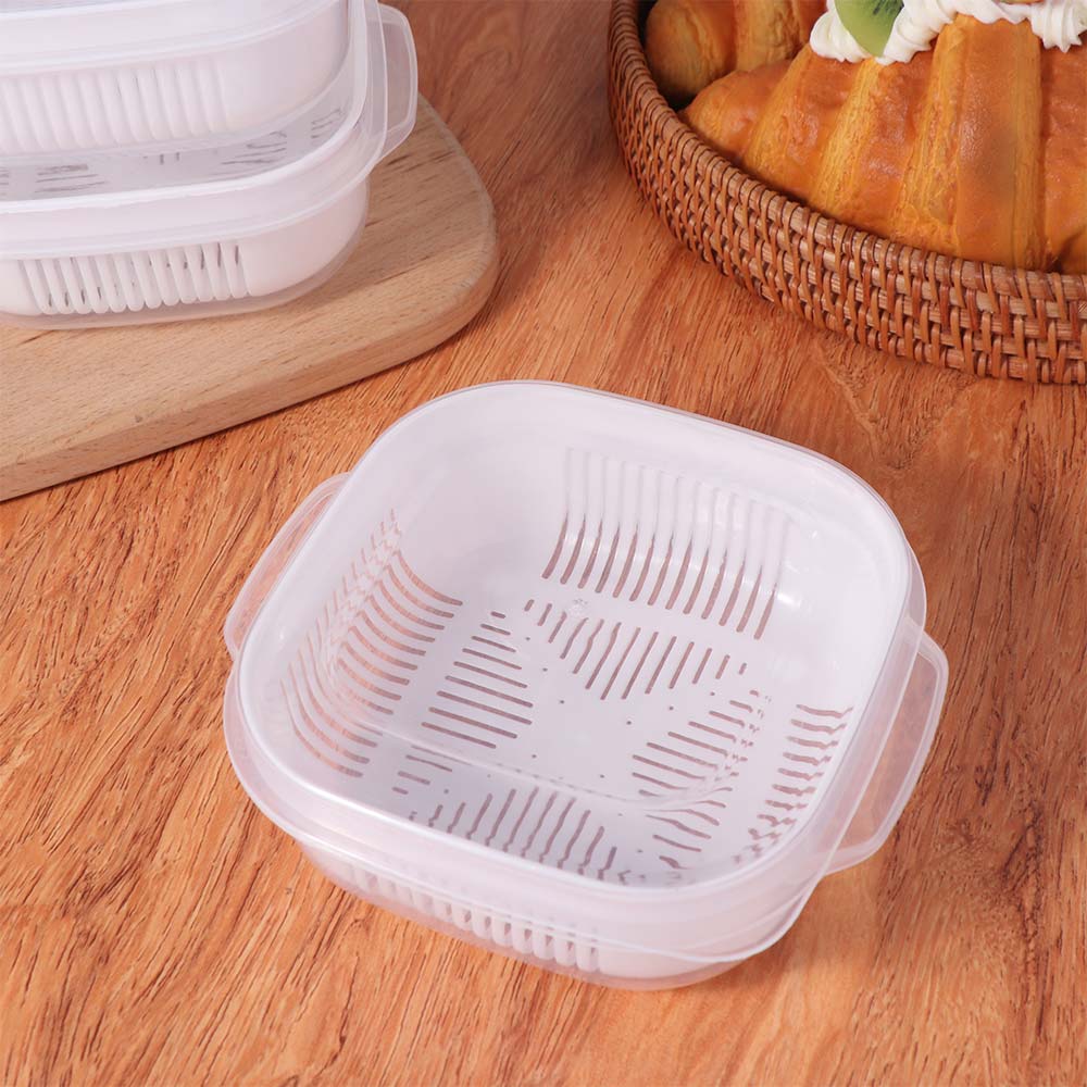 6Pcs Double Layer Food Storage Containers with Lids Rice Crisper  Food Storage