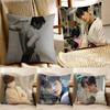 Kpop Singer Cha E-Eun W-Woo Pillow Case Anti-dustmite Invisible Zipper Sofa Bed