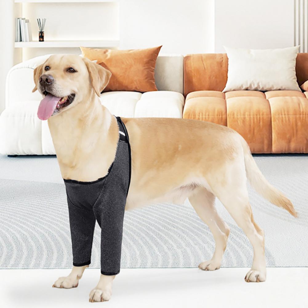 Breathable Dog Elbow Pad Surgery Recovery Suit Protector Front Leg Brace Joint Support Wound Care for Medium Dogs