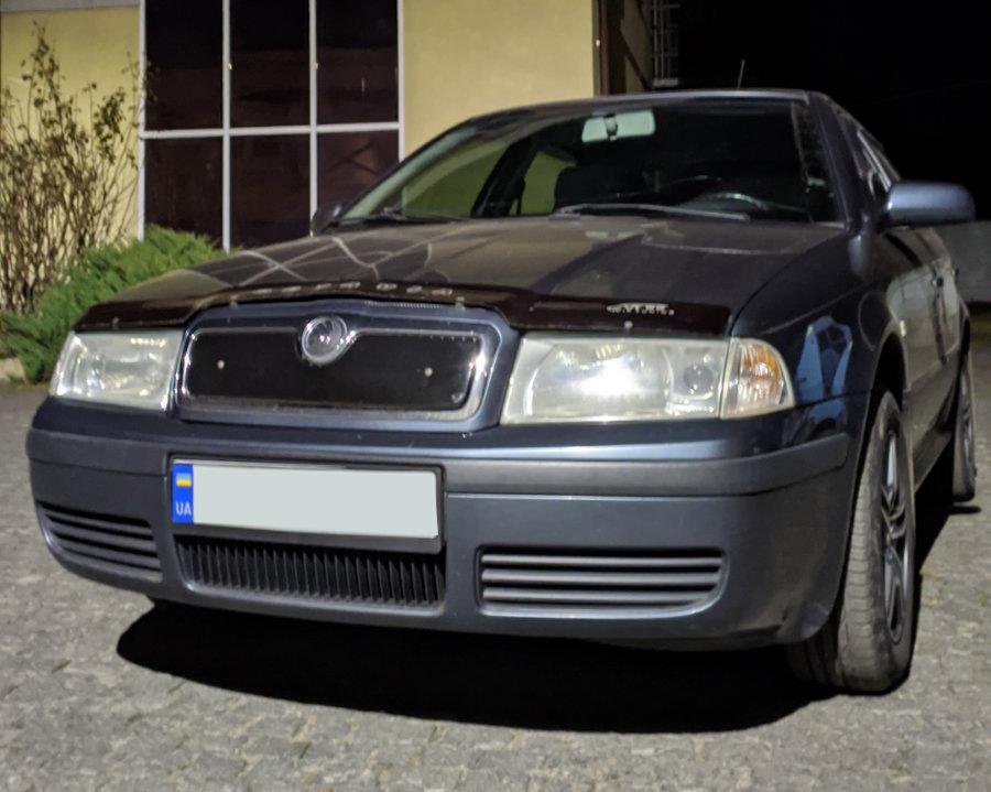 Χειμερινή σχάρα (ανώτερος) Ματ για Skoda Octavia I Tour A4 1996-2010