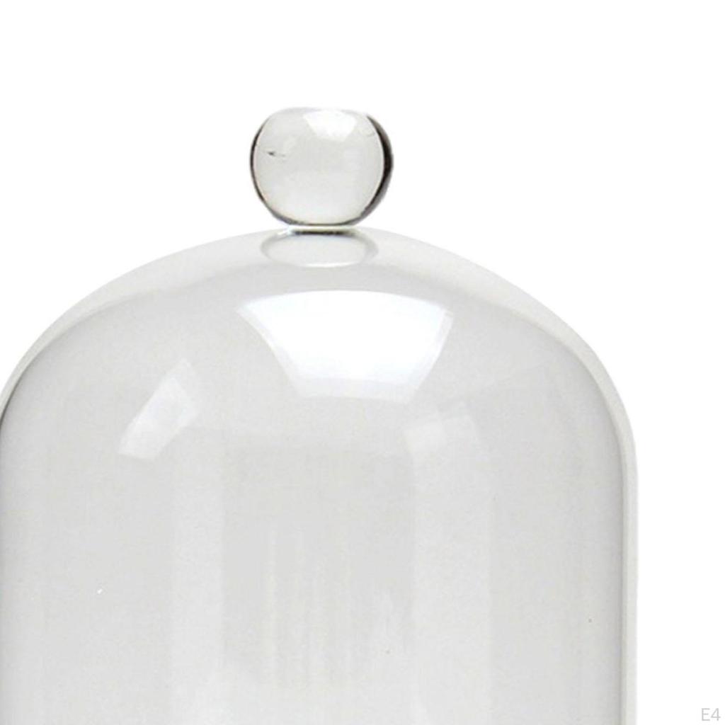 Vetrina in Vetro Decorazione per la Casa Fai da Te Cupola Cloche per Festa Ufficio Tavolo