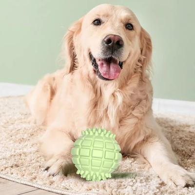 Hunde – Hundespielzeug