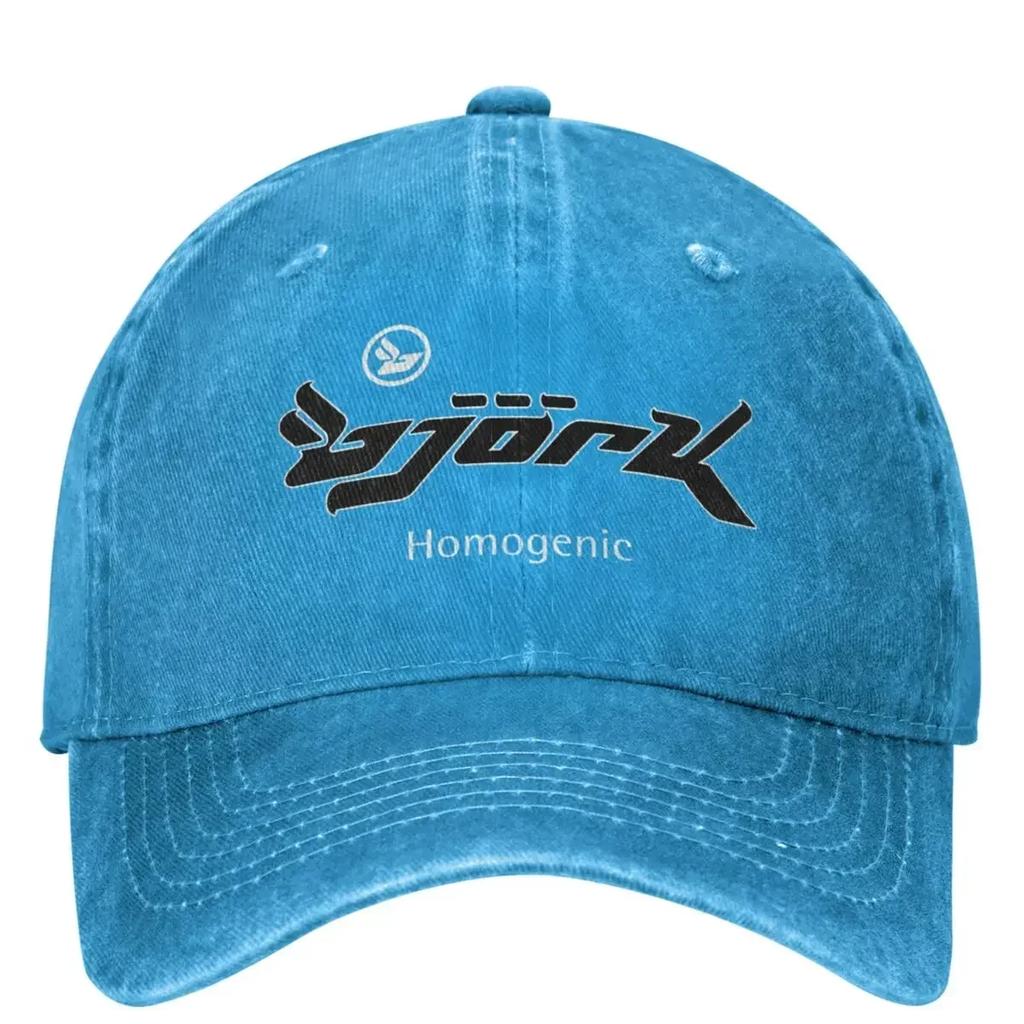 Lässige Björk Homogenic Logo Schwarz Weiß Baseballkappen Unisex Damen Used Denim Snapback Hut Outdoor Laufen Golf