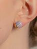 Cerabonito Stratigraphy Round Ceramic Earrings (Lp)