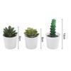 3pcs Artificial Succulent Bonsai Plants Charming Desktop Simulation Succulent Plant Set Home Desk Office Wedding Table Decor