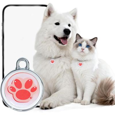 Akıllı Ev – Akıllı Bulucular