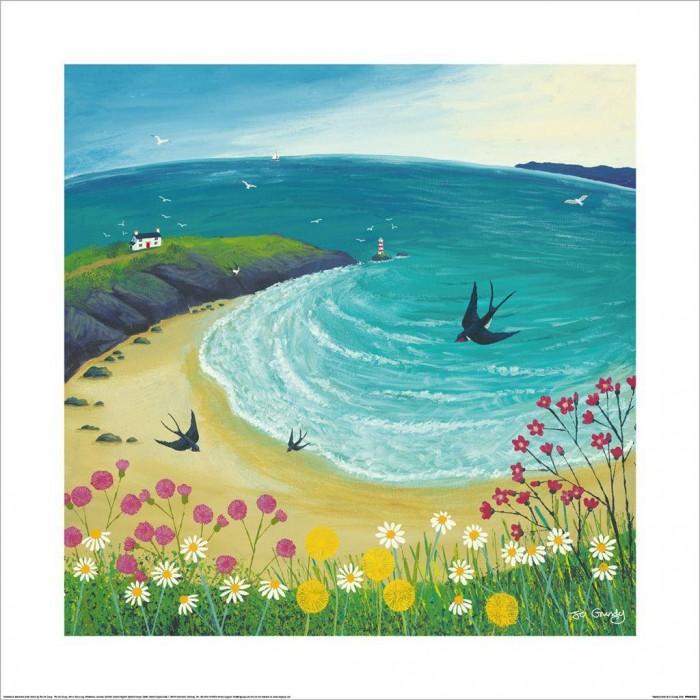 Jo Grundy Swallow Dive Print