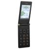 G10-1 Klapphandy 2,6 Zoll MP3 Großer Lautsprecher 4G Mobiltelefon für Senioren Dual-SIM Handy 100-240V Grau USA