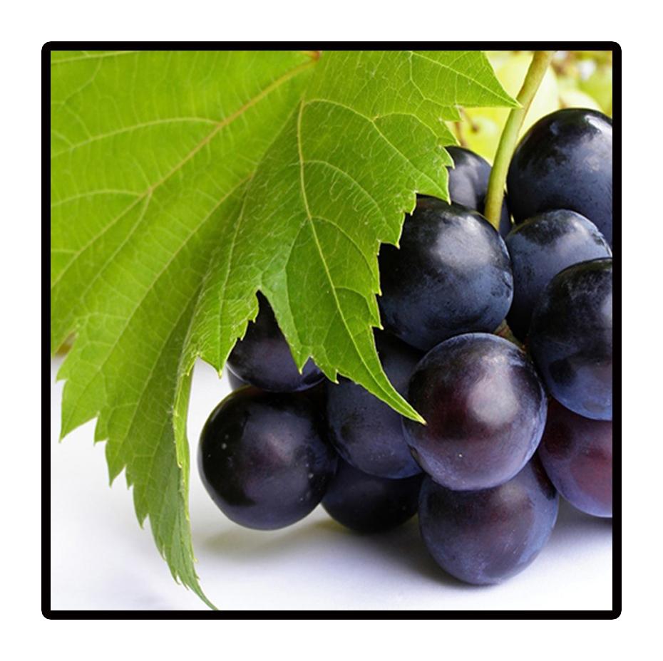 Grape Apple Lemon Picture Posters and Print Kitchen Decoration Abstract Fresh Fruit Wall Art Canvas Painting Living Room