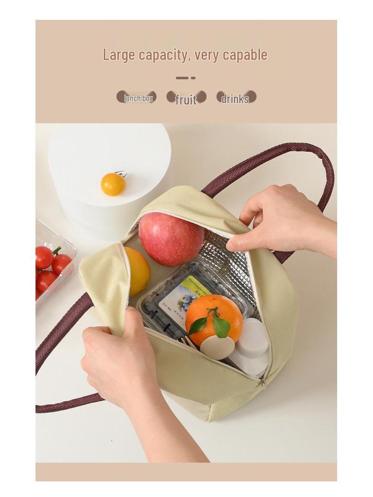 Insulated Bento Lunch Tote Bag for Office or School
