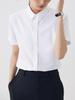 Dress Regular Open Short School Entrance Business High XS To 3XL [RCL] Women's Shirt, Stretch, No-Iron Blouse, Collar, Collar, Sleeve, Business,