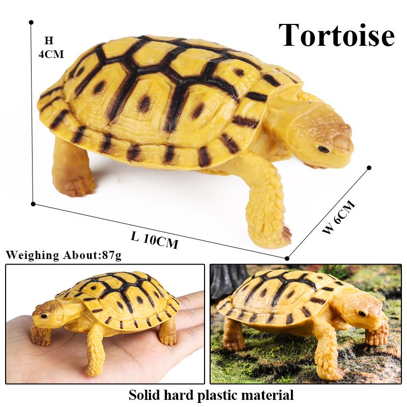 Oenux Sea Life Animals Model Leatherback Tortoise Turtle Growth Cycle Ocean Figurines Action Figures PVC Collection Kid Toy Gift