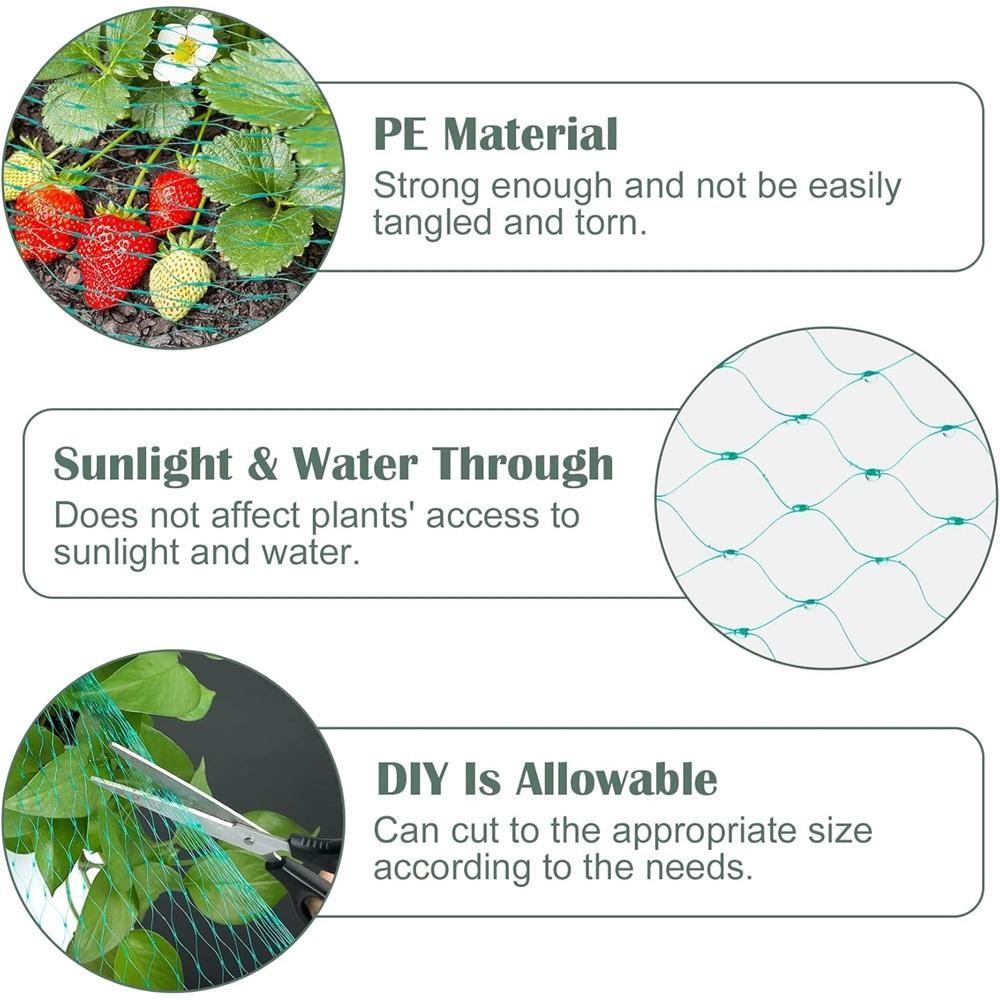 Grünes Vogelnetz – Strapazierfähiges Gartennnetz zum Schutz von Pflanzen & Obstbäumen – UV- & Frostschutz, Wiederverwendbar – Verschiedene Größen erhältlich