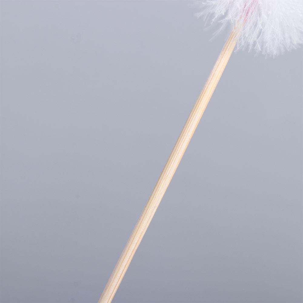 Ear Cleaning Tool Spoon Cleaner Stick Ear Spoon Goose Feather Earpick Ear Dig Tools Ear Wax Remover