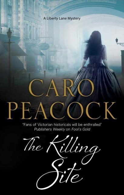 The Killing Site by Caro Peacock Paperback Book 9781847518798