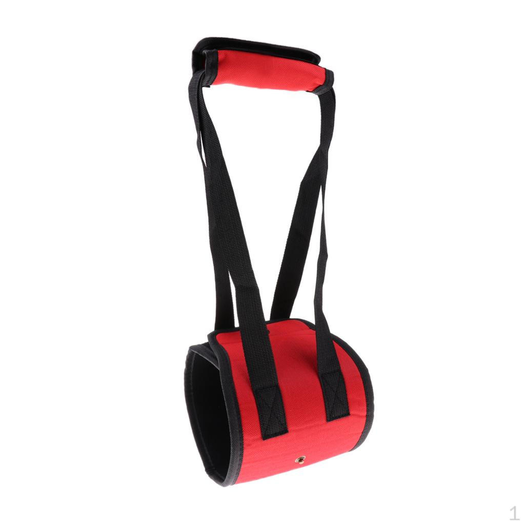 Dog Canine Handle Lift Harness Mobility Support Large Aid Assist Red L