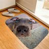Tapis et moquettes – Tapis et carpettes