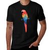 Scarlet Macaw Tshirt Festival Casual Short Sleeve