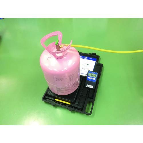 Ichinen TASCO High Precision Electronic Charger TA101CB