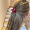 Early Spring Floral Acetate Hair Clip, Elegant Sunflower Shark Clip for Women, Fashion and Premium Hair Claw Clip