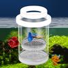 Scatola di Isolamento per l'Allevamento di Pesci Galleggianti Acquario Incubatrice per la Schiusa Incubatrice per la Schiusa Mangiatoia Incubatoio per Acquario