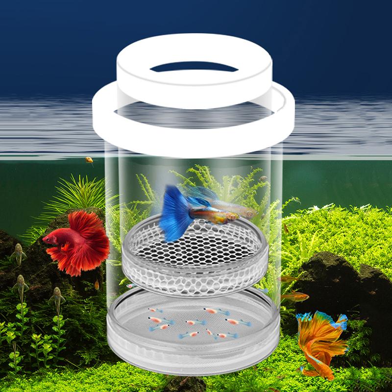 Scatola di Isolamento per l'Allevamento di Pesci Galleggianti Acquario Incubatrice per la Schiusa Incubatrice per la Schiusa Mangiatoia Incubatoio per Acquario