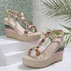 Fashion Women Fashionable Wedge Sandals Summer 2025 Braided Band Platform Gladiator Sandals Woman Thick Bottom Beach Shoes Women Sandals