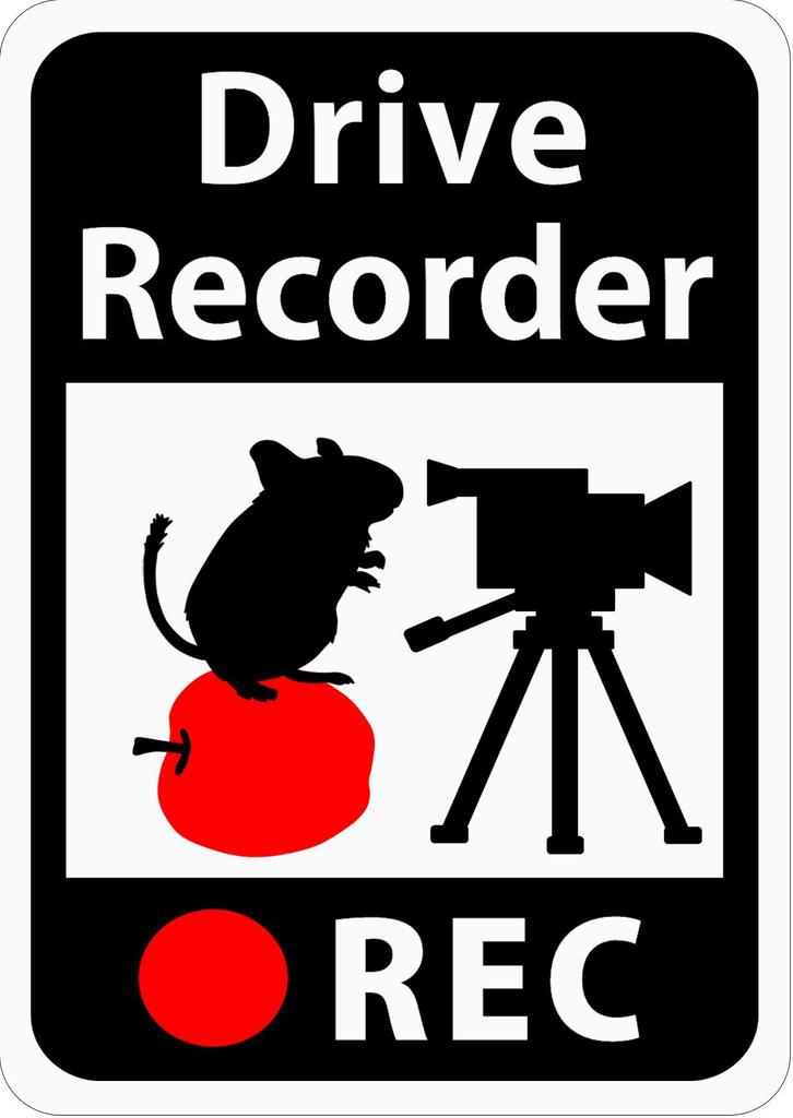 Dash Cam Sticker "Degu on the Apple and Video Camera" (Magnet) s44