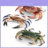 Marine Animal Crab Model With Realistic Design For Desktop Decor