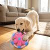 Squeaky Dog Chew Toy Cotton Rope Rope Dog Toy Dog Plate Game Dog Flying Disc  Teeth Cleaning