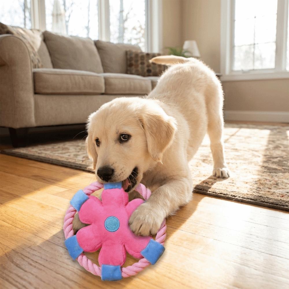 Squeaky Dog Chew Toy Cotton Rope Rope Dog Toy Dog Plate Game Dog Flying Disc Teeth Cleaning