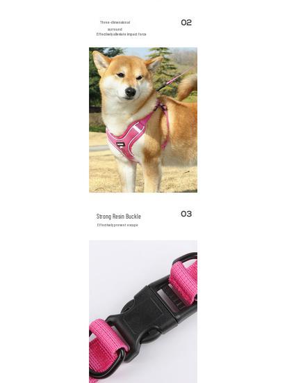 Harnais Gilet Respirant Réglable & Laisse pour Chiens de Petite à Moyenne Taille - Sans Rembourrage, Sans Étranglement, Idéal pour les Shiba Inus & Bouledogues Français