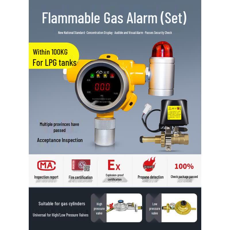 MDNG Baurui Wireless Gas Leak Detector CN plug (adapter included) New National Standard High-End