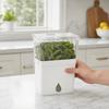 DYS Vegetable Crisper, Double-Layer Storage Extends Freshness Box, for Herbs And Vegetables Refrigerator Use