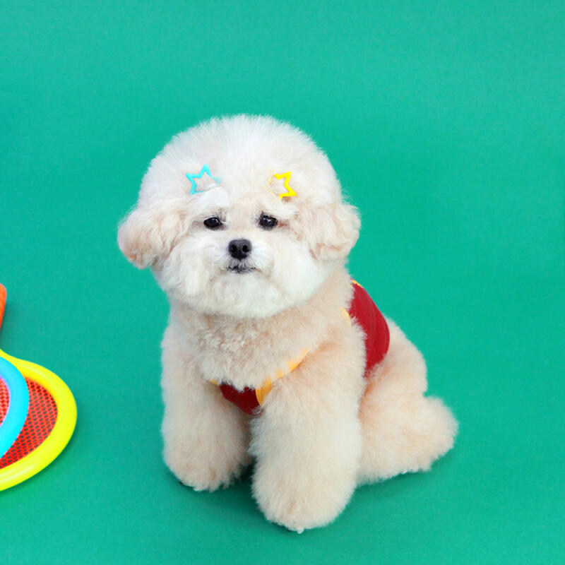 

KINI SPORTS LEAGUE CROP TOP-BROWN (Crop Top) XXL