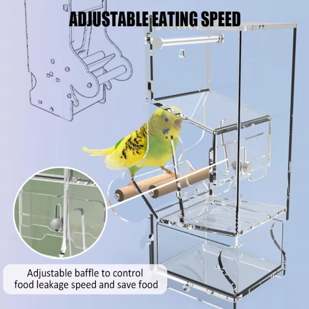 Adjustable Feeding Speed Parrot Feeder with Bottom Drawer Transparent Food Container  Parakeet
