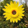 Multistyles Rotating Sunflower PVC Garden Yard Wind Spinner  Outdoor Party Picnic Decor