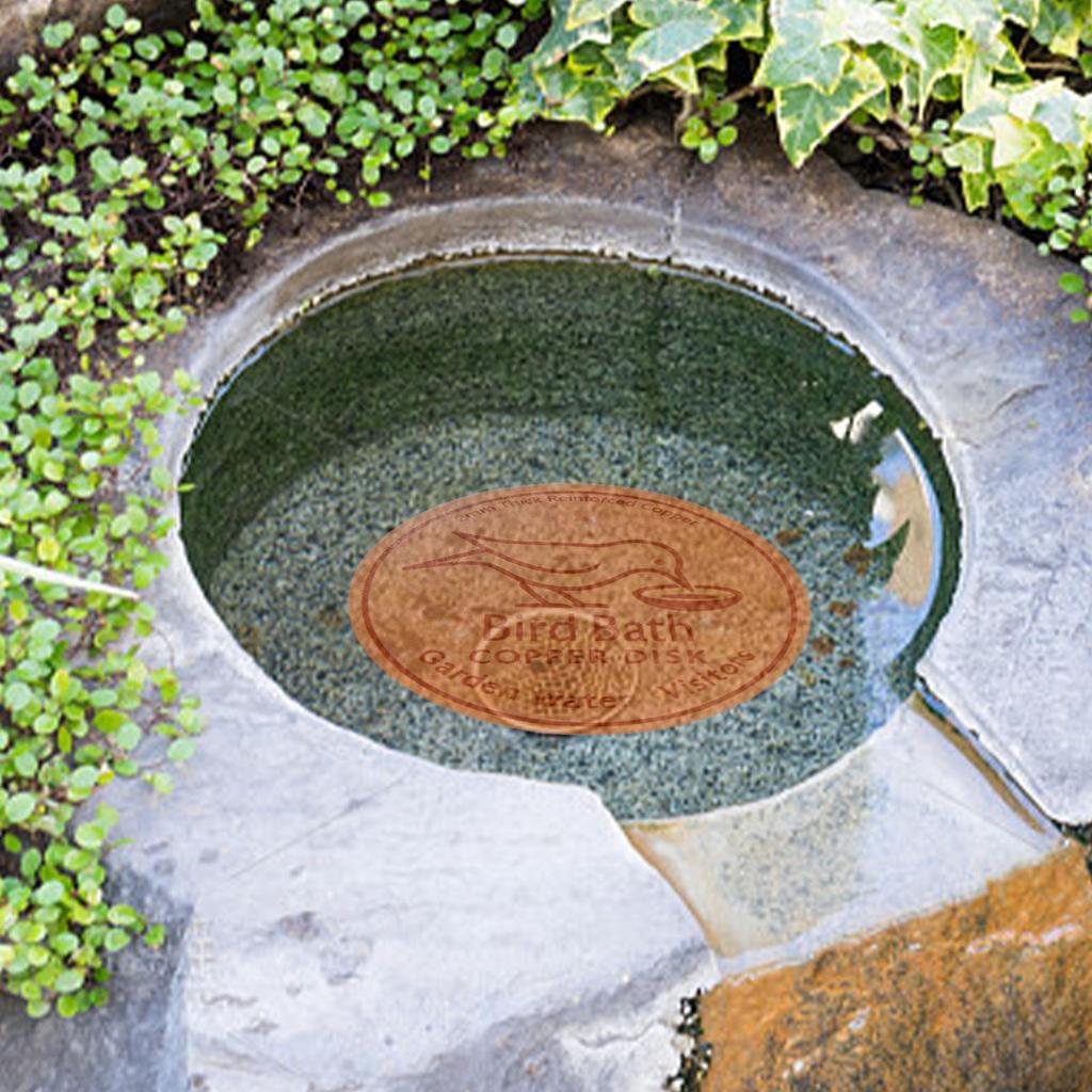 Metal Birds Bath Tray Copper Bird Bath Disk Outdoor Feeder Cleaning Accessories Triple-Point Support Purifier Disc Water Bowl