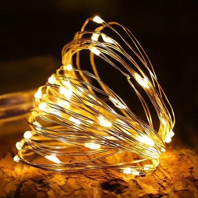 Pailide Indoor LED String Lights