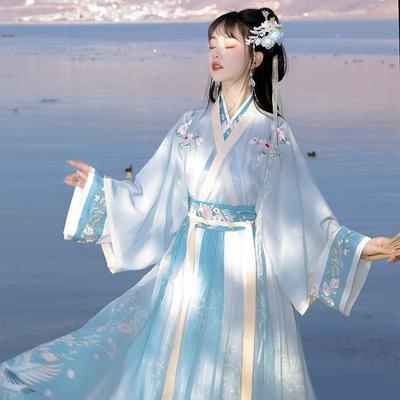 Çin Wei Ve Jin Hanedanı Tarzı Hanfu İşlemeli Bel uzunlukta Etek Takım Elbise Kadınlar için