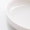 Yangge Series Melamine Dinner Plates