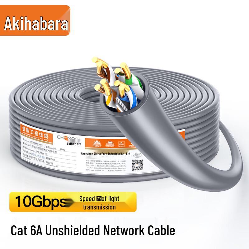 Choseal Cat6A 10 Gigabit Ethernet Cable