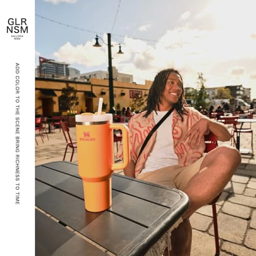 STANLEY H2.0 Vacuum Slim Quencher, 0.88L Stainless Steel Straw Tumbler, 880ml Insulated Water Bottle, Outdoor Use, 10-10829, Hydrangea