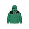 Men's Logo Print Color Block Zip-Up Hooded Jacket Green NF0A5JYN-PK1