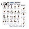 Beginner Friendly Fitness Guide 2 Pcs Dumbbell Workout Chart Poster, Full Body Exercise Strength Training Wall Art Art, for Home Gym Muscle